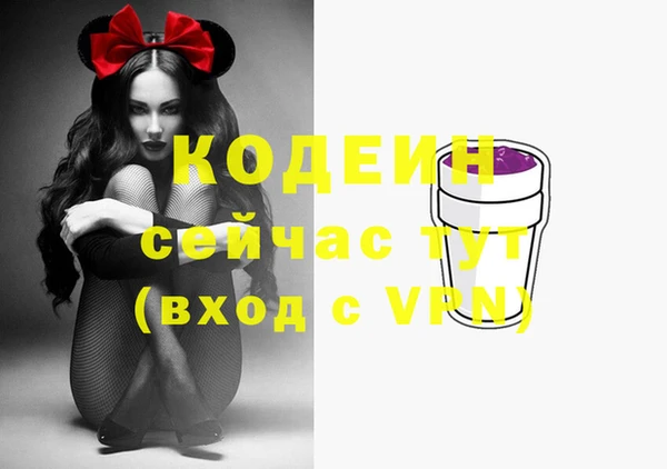 гидра Бронницы