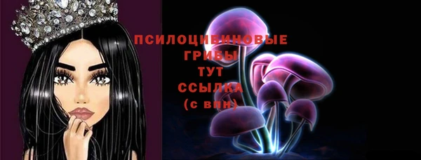 спиды Бородино