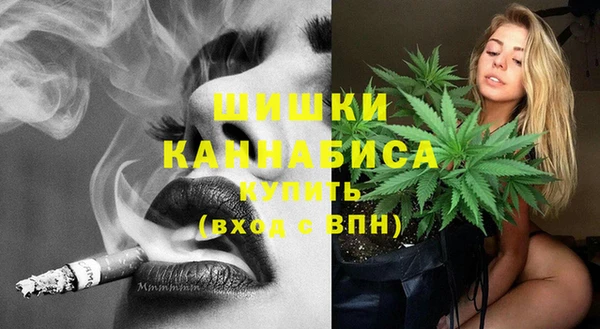 спиды Бородино