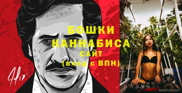 спиды Бородино