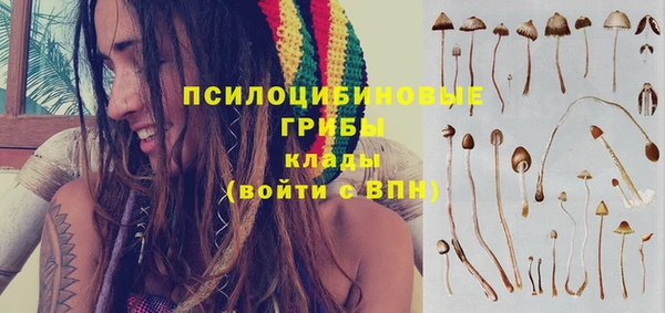 спиды Бородино