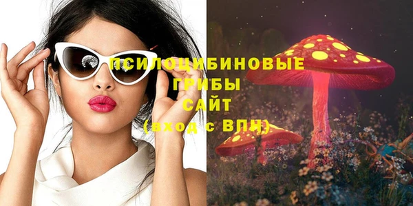 спиды Бородино