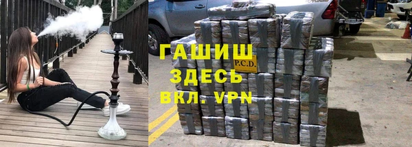 спиды Бородино