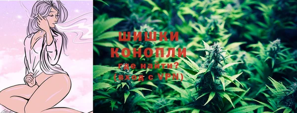 спиды Бородино