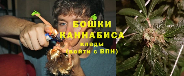 гидра Бронницы