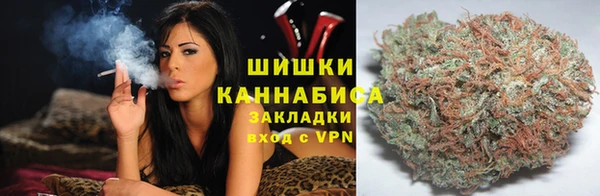 гидра Бронницы