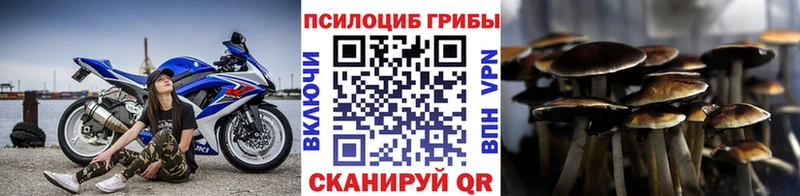 Псилоцибиновые грибы прущие грибы  Купить где  Ладушкин 